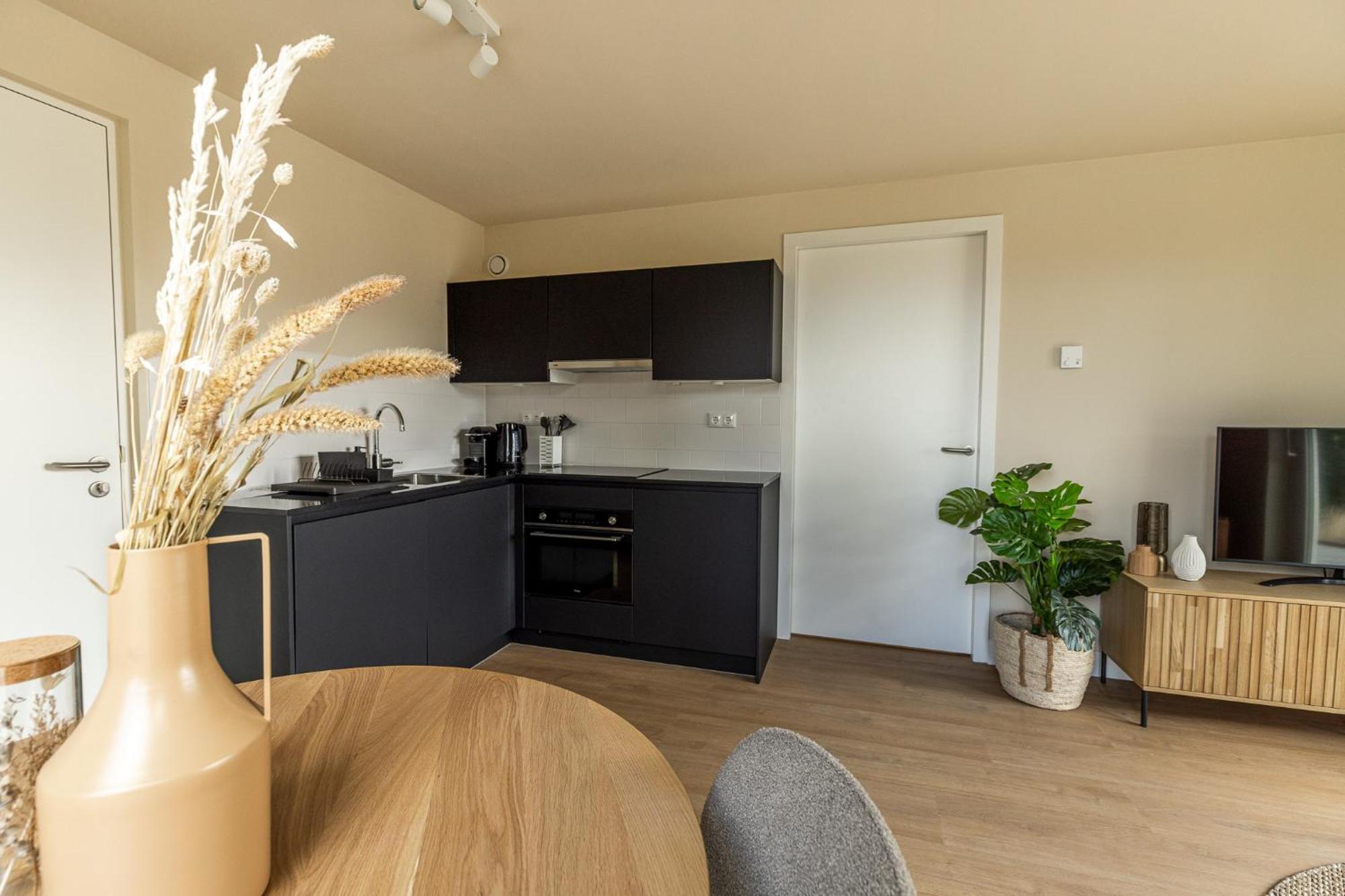De Kluut Apartment *